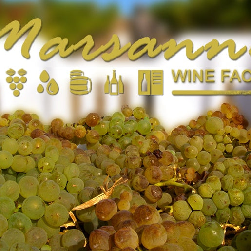 Marsanne Wine Facts of Australia