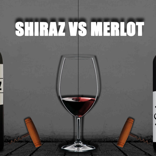 Shiraz vs Merlot