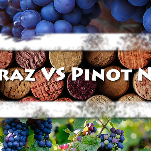 Shiraz vs pinot noir