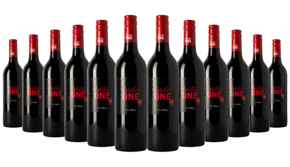 Order The Wild One Shiraz 2020 - 12 Bottles  Online - Just Wines Australia