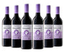 Order Angove Organic South Australia Merlot 2024 - Just Wines