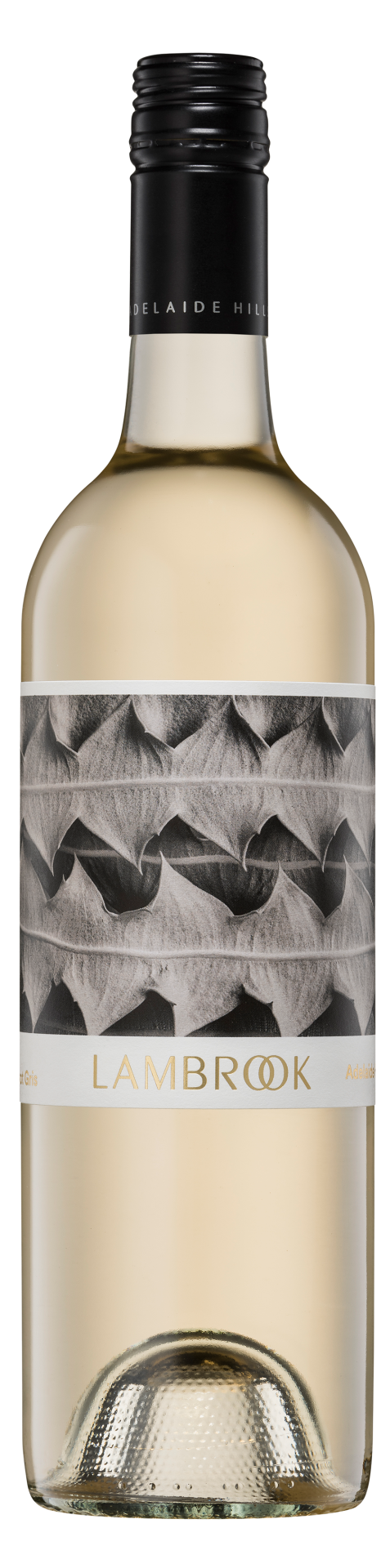 Order Lambrook Seed  Adelaide Hills Pinot Gris 2023 - 12 Bottles - Just Wines