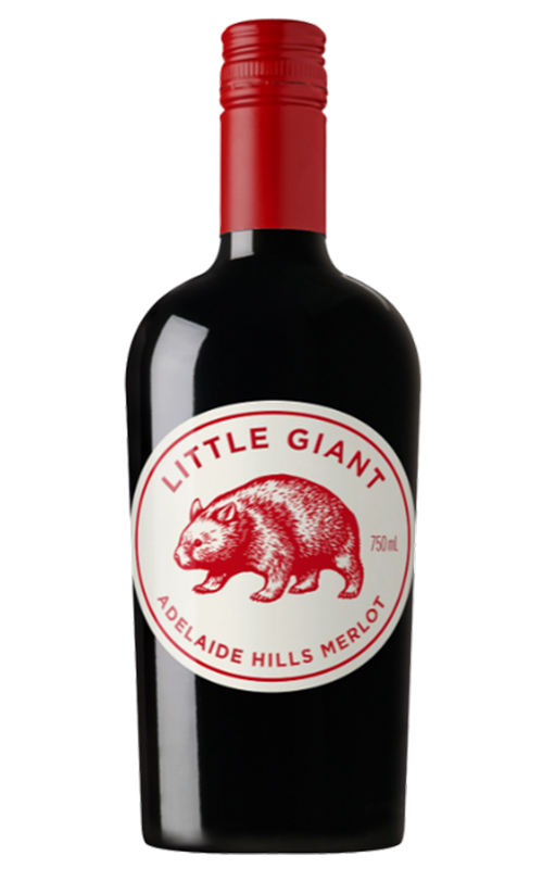 Order Little Giant Adelaide Hills Merlot 2025 - 6 Bottles - Just Wines
