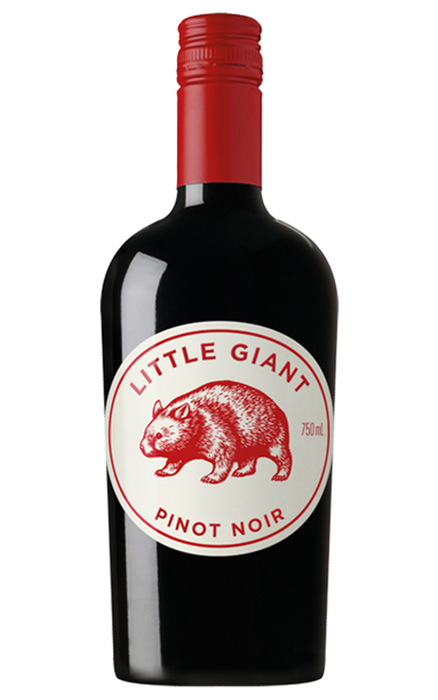 Order Little Giant South Australia Pinot Noir 2024 - 6 Bottles - Just Wines