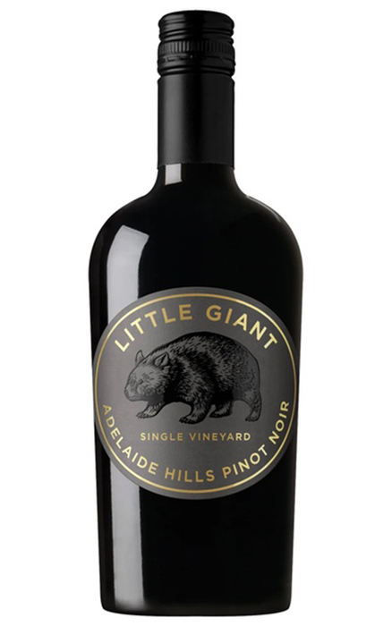 Order Little Giant Single Vineyard Adelaide Hills Pinot Noir 2024 - 6 Bottles - Just Wines