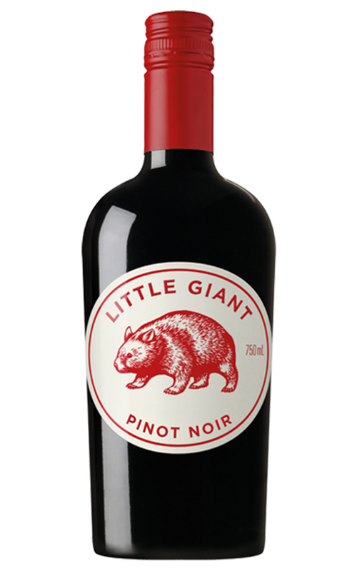 Order Little Giant South Australia Pinot Noir 2024 - 6 Bottles - Just Wines