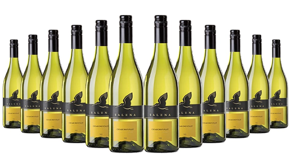 Order Salena Estate South Australia Chardonnay 2022 Pack of 12 JustWines Australia
