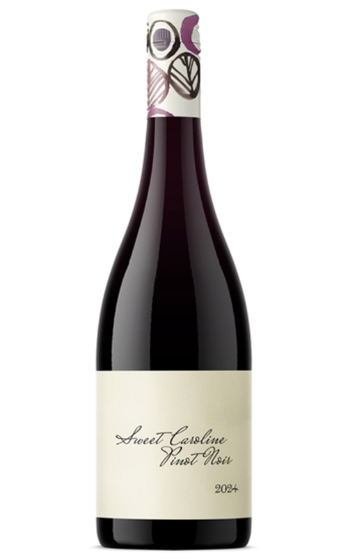 Order Sweet Caroline South Australia Pinot Noir 2024 - 6 Bottles - Just Wines
