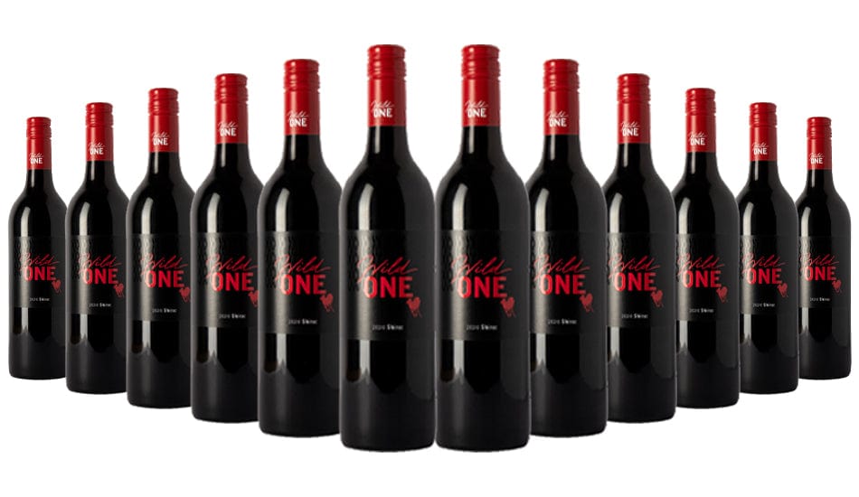Order The Wild One Shiraz 2020 - 12 Bottles JustWines Australia