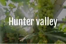 Hunter valley