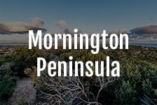 Mornington Peninsula Wine Shop